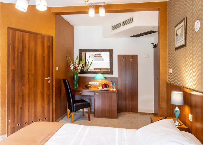 Hotel David Boutique 3*